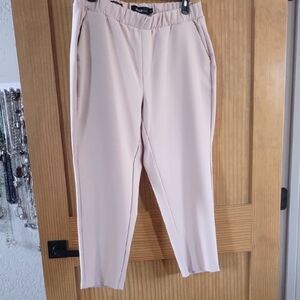 Torrid Studio Beige Trousers
